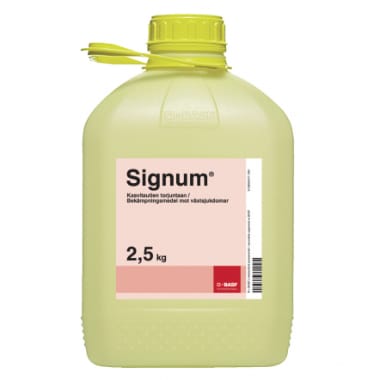 Signum, 2,5 kg