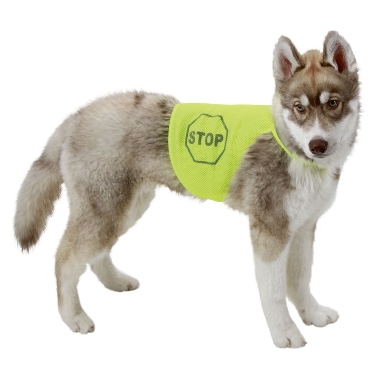 Atstarojoša drošības veste suņiem, 35x50-58 cm