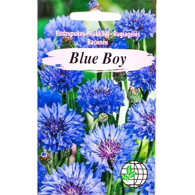 Rudzupuķes Blue Boy, Agrimatco, 1 g