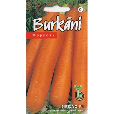 Burkāni Nerac F1, Kurzemes sēklas, 1 g