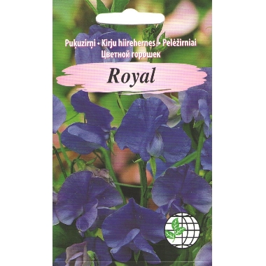 Puķuzirņi Royal zili, Agrimatco, 2 g