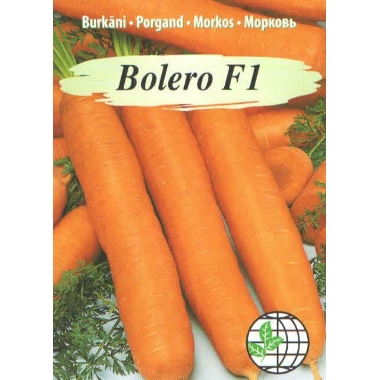 Burkāni Bolero F1, Agrimatco, 5 g
