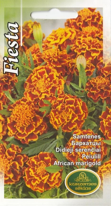 Attēls #1