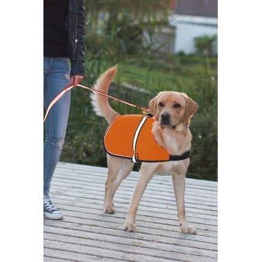 Atstarojoša drošības veste suņiem Maxi Safe, 60-90/50 cm