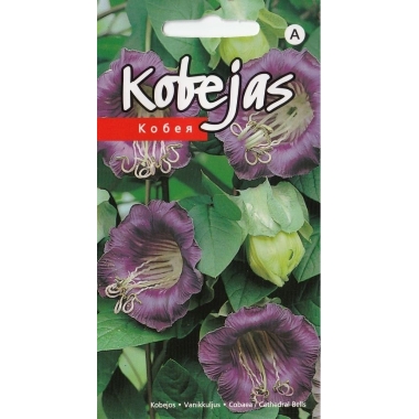 Kobejas violetas, Kurzemes sēklas, 5 gab.