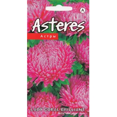 Asteres Lady Coral Brilliant, Kurzemes sēklas, 2 g