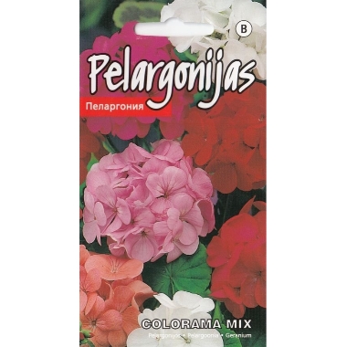 Pelargonijas Colorama Mix, Kurzemes sēklas, 2 g