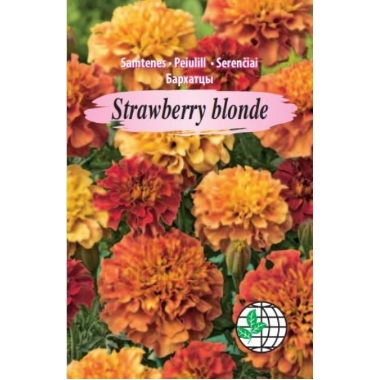 Samtenes Strawberry Blonde, Agrimatco, 30 sēklas