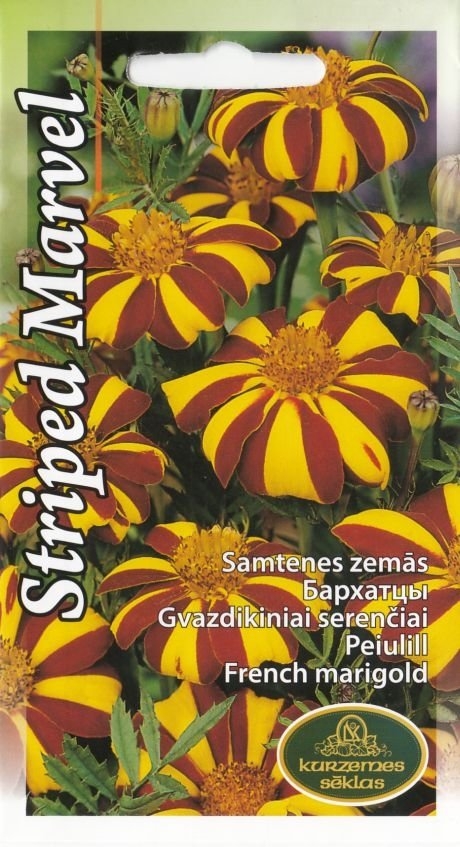 Attēls #1