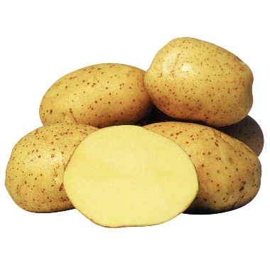 Kartupeļi sēklas Vineta, 20 kg