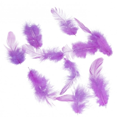 Dekoratīvas spalvas violetas, 10 g