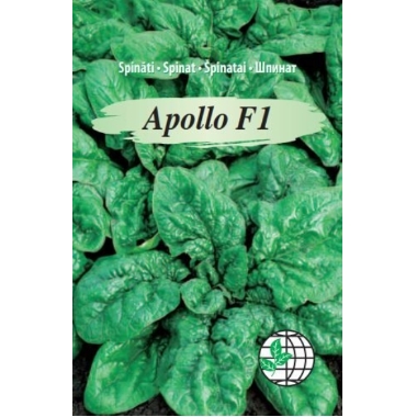 Spināti Apollo F1, Agrimatco, 3 g