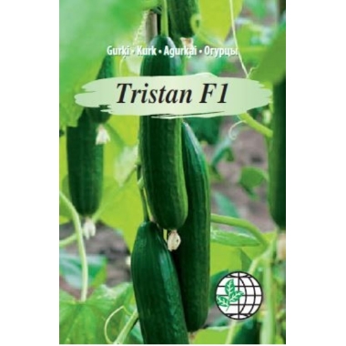 Siltumnīcas gurķi Tristan F1, Agrimatco, 3 gab.