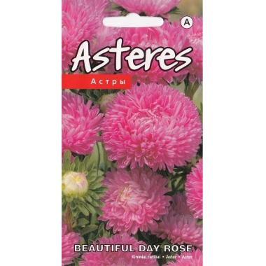 Asteres Beautiful Day Rose, Kurzemes sēklas, 0,4 g
