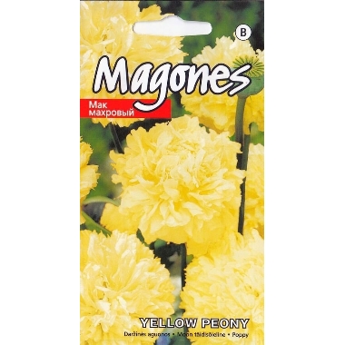 Magones Yellow Peony, Kurzemes sēklas, 0,5 g