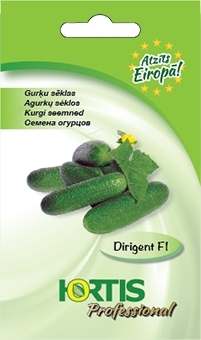 Attēls #1