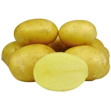 Kartupeļi sēklas Jelly, 25 kg