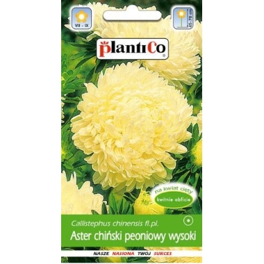 Asteres Peoniju dzeltenas, PlantiCo, 1 g