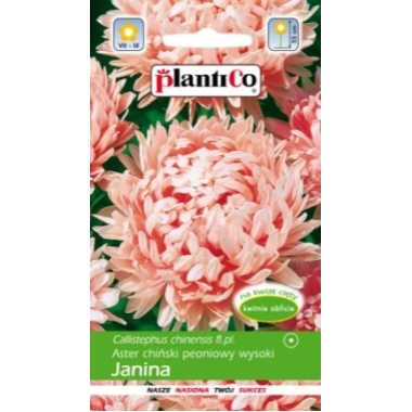 Asteres peoniju Janina, PlantiCo, 1 g