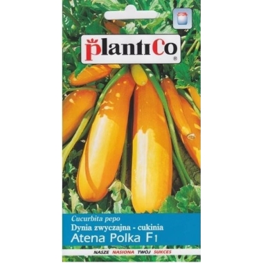 Kabacis Atena Polka, PlantiCo, 2 g