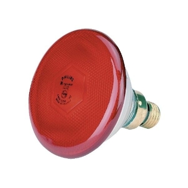 Sildlampa PAR38 sarkana 100W, Philips