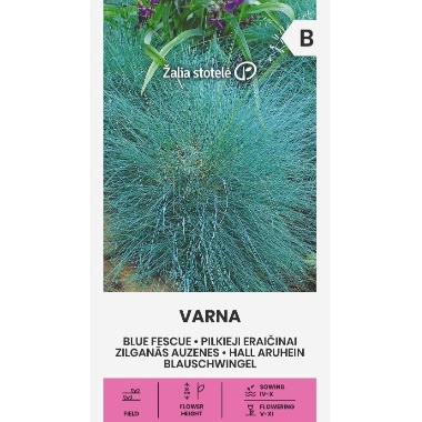 Auzene zilganā Varna, Seklos LT, 0,5 g