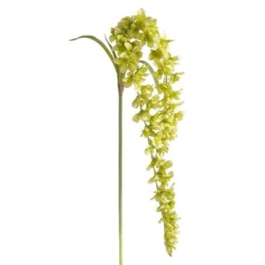 Mākslīgā vistērija orhideja zaļa, 100-170 cm