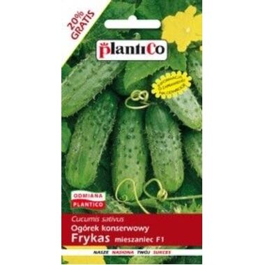 Gurķis Frykas F1, PlantiCo, 6 g