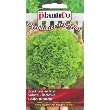 Lapu salāti Lollo Bionda, PlantiCo, 0,5 g
