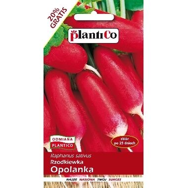 Redīsi Opolanka, PlantiCo, 10 g