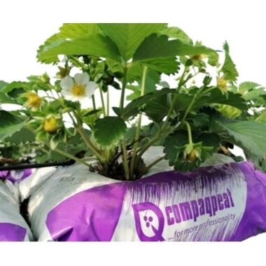 Kūdras maiss augu audzēšanai GrowBag, 40 L