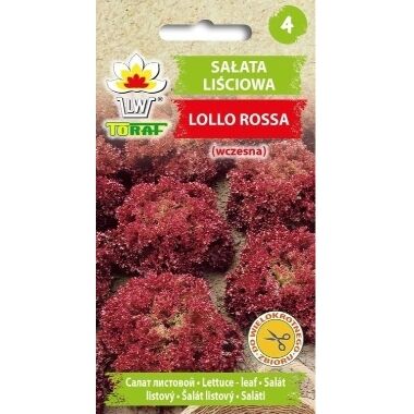 Sarkano lapu salāti Lollo Rossa, LW, 1 g
