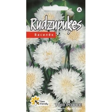 Rudzupuķes Tom Pouce, Kurzemes sēklas, 0,4 g