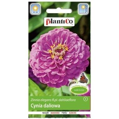 Cinnijas dāliju Lavanda, PlantiCo, 1 g