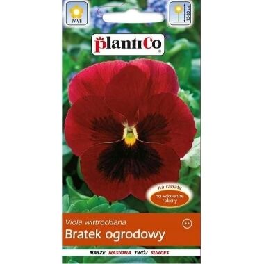 Atraitnītes lielziedu Red Pansy, PlantiCo, 0,5 g
