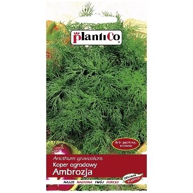 Dārza dilles Ambrosia, PlantiCo, 5 g