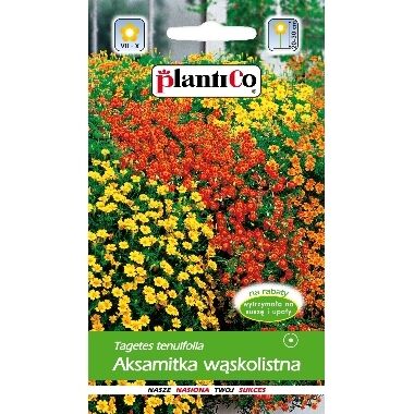 Samtenes šaurlapu mix, PlantiCo, 0,5 g