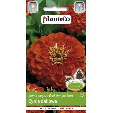 Cinnijas dāliju oranžas, PlantiCo, 1 g