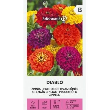 Cinnijas dāliju Diablo, Seklos LT, 1 g
