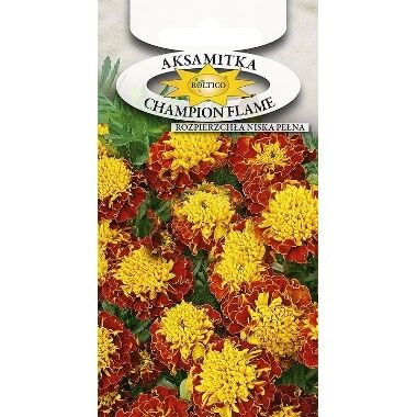 Samtenes Champion Flame, Roltico, 0,3 g