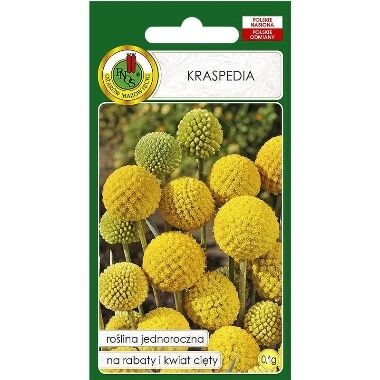 Kraspēdija lodveida, PNOS, 0,1 g