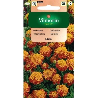 Samtenes Laura, Vilmorin, 1 g