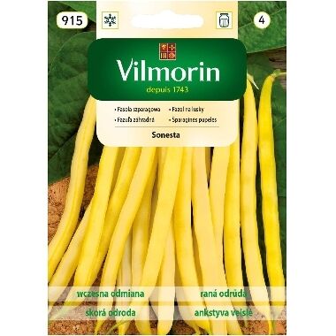 Sviesta pupas Sonesta, Vilmorin, 30 g