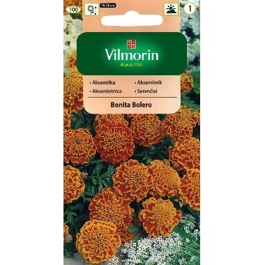 Samtenes Bonita Bolero, Vilmorin, 1 g