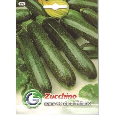 Kabacis Nano verde di Milano, Galassi Sementi, 6 g