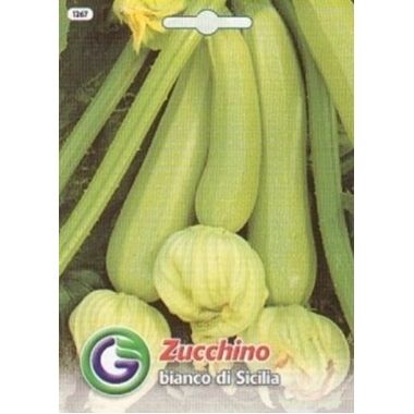 Kabacis Bianco di Sicilia, Galassi Sementi, 7 g