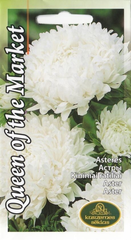 Attēls #1