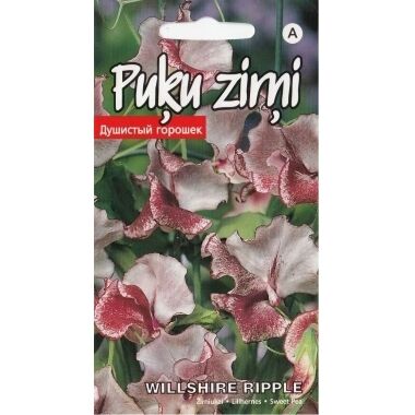 Puķu zirņi Willshire Ripple, Kurzemes sēklas, 2 g