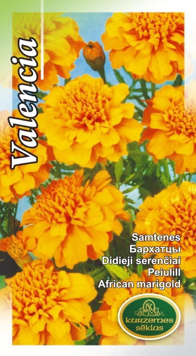 Attēls #1