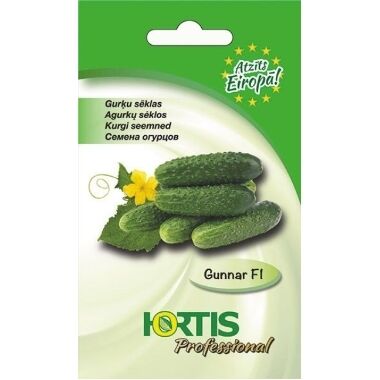 Gurķi Gunnar F1, Hortis, 10 sēklas